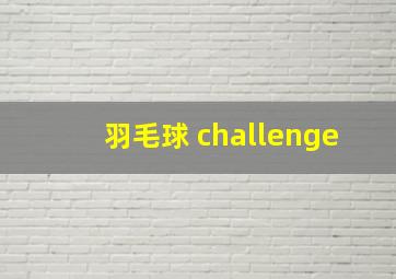 羽毛球 challenge